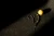 5.webp