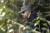 207665_Trakker_TechPro_Camo_Boonie_Hat_L4_2025_03.jpg