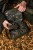 204290_NXG_Modular_Lead_Pouch_System_L4_2025_01.JPG