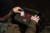 204158_NXG_Scout_Rucksack_L4_2025_24.JPG