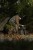 204158_NXG_Sout_Rucksack_L4_2025_25.JPG