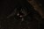 204158_NXG_Scout_Rucksack_L4_2025_17.JPG