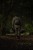 204158_NXG_Scout_Rucksack_L4_2025_10.JPG