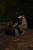 204158_NXG_Scout_Rucksack_L4_2025_05.JPG