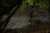 204158_NXG_Scout_Rucksack_L4_2025_04.JPG