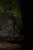 204158_NXG_Scout_Rucksack_L4_2025_01.JPG