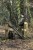 204252_NXG_Compact_5_Rod_Sleeve_12ft_L4_2025_10.jpg