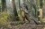 204252_NXG_Compact_5_Rod_Sleeve_12ft_L4_2025_08.jpg