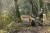 204252_NXG_Compact_5_Rod_Sleeve_12ft_L4_2025_09.jpg