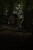 204230_NXG_3-Rod_Sleeve_10ft_L4_2025_02.JPG