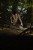 204230_NXG_3-Rod_Sleeve_10ft_L4_2025_01.JPG