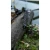 21.webp
