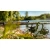 27.webp