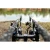 15.webp