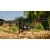 34.webp