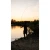 38.webp