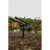 11.webp