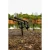 12.webp