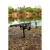 13.webp