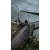 22.webp