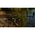 35.webp