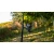 39.webp