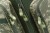 Mivardi Bagpack CamoCODE Cube - plecak wędkarski  Karpiowe Graty - Zdjęcie 3