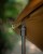Fox FOX 60" BROLLY"60"" Brolly "  CUM359 Karpiowe Graty - Zdjęcie 3