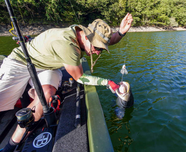 ecff7db80c4b494f901ed28daa1de80b