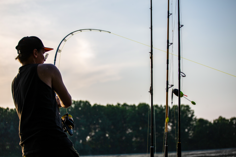 fd272a9d889f6a5b59c4bea39c9d099e