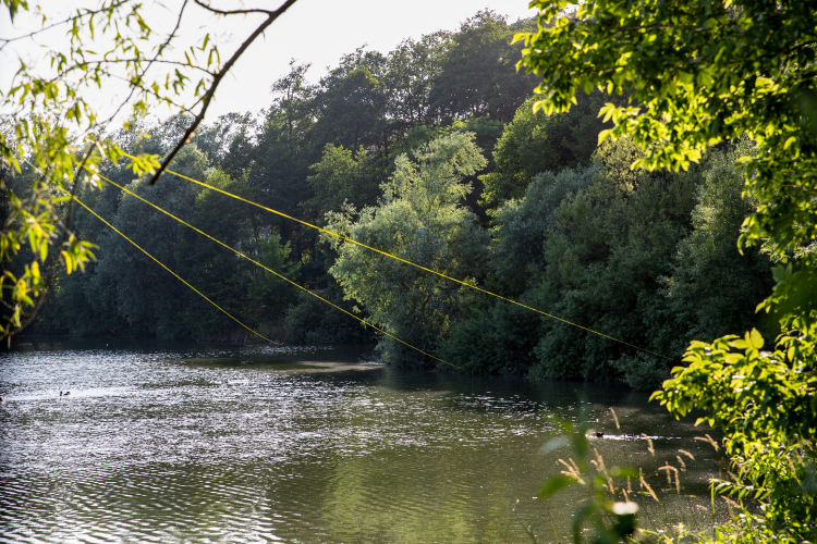 12b3521bae3c531a078a69f185261ef7