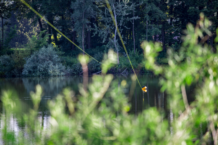 9a60cde08c860694b0022c0939eae771