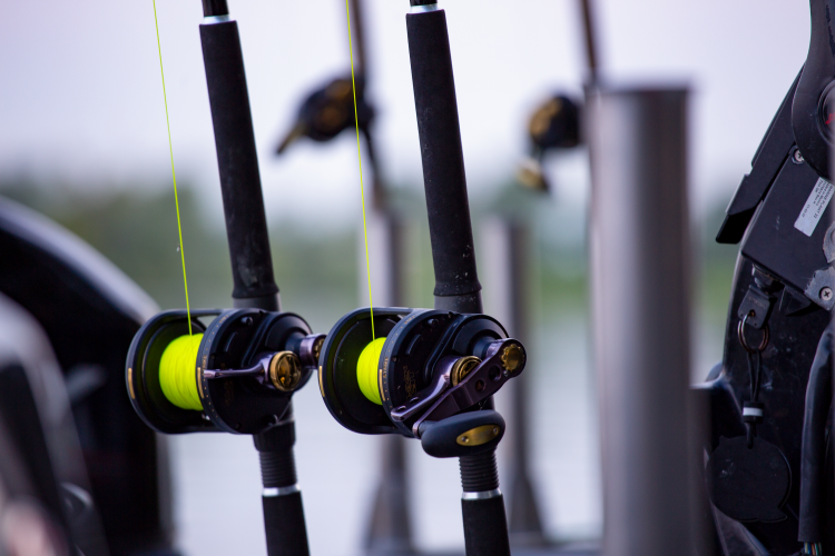 42c6ce056fbaef01cf2d2396da06aaa9