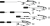 b556e1560d43a580bea1c7b261ba8051