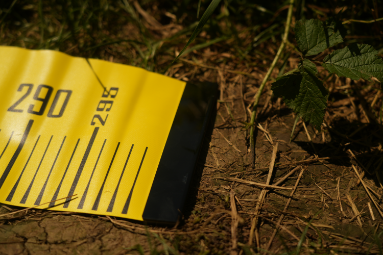 539bcba1f995c4913c489cdfc5a47d37