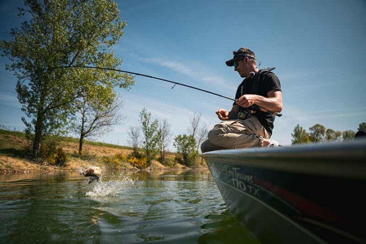 f55b3a717a7b2d66ef2556a8394f08dd