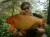 Delphin CARPY Pluszowy karp 60 cm 8585066518345 101006075 Karpiowe Graty - Zdjęcie 7