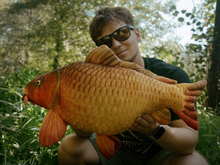 Delphin CARPY Pluszowy karp 60 cm 8585066518345 101006075 Karpiowe Graty - Zdjęcie 7