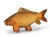 Delphin CARPY Pluszowy karp 60 cm 8585066518345 101006075 Karpiowe Graty - Zdjęcie 10