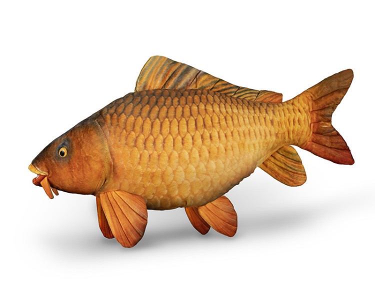 Delphin CARPY Pluszowy karp 60 cm 8585066518345 101006075 Karpiowe Graty - Zdjęcie 10