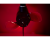 13.png