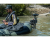 17.png