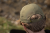 bd0e6c8bf0ec1197a1817037b90e492f