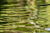 f1db216ba5084b7b81453c8e5746a6ad