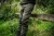 6.webp