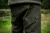 10.webp