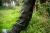 9.webp