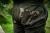 15.webp