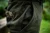 14.webp