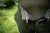 16.webp